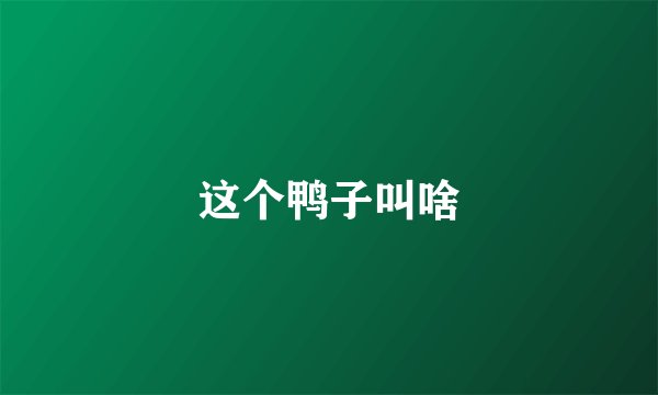 这个鸭子叫啥