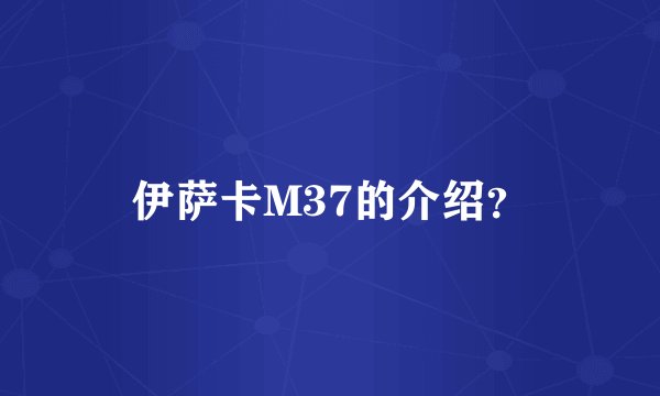 伊萨卡M37的介绍？