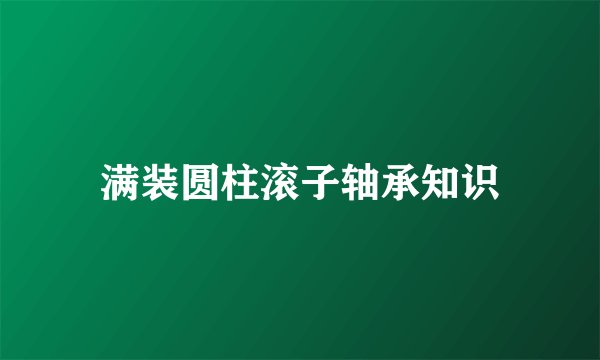 满装圆柱滚子轴承知识