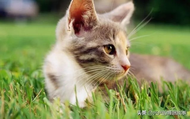 电视剧《想明白了再结婚》中有哪些经典的台词？
