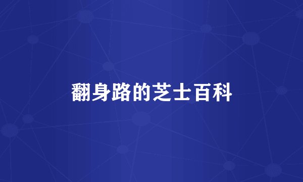 翻身路的芝士百科