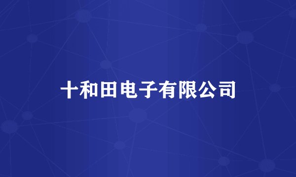 十和田电子有限公司
