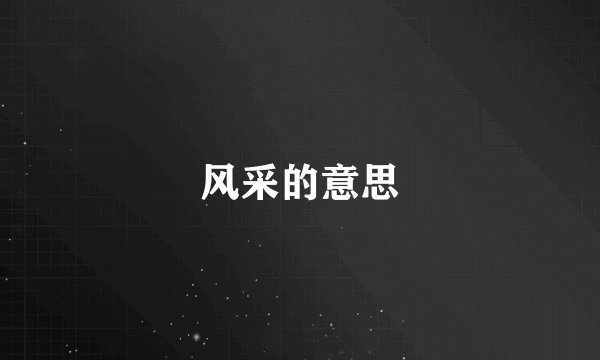 风采的意思