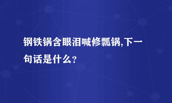 钢铁锅含眼泪喊修瓢锅,下一句话是什么?