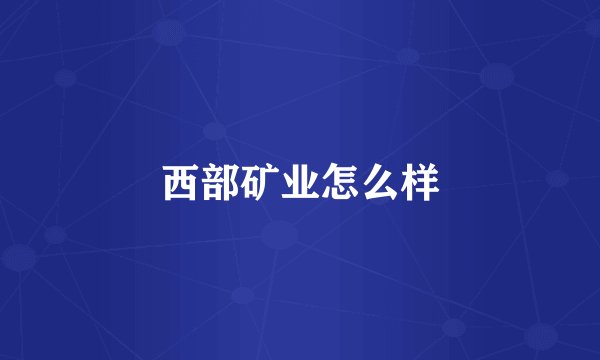 西部矿业怎么样
