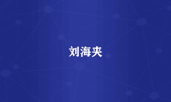 刘海夹