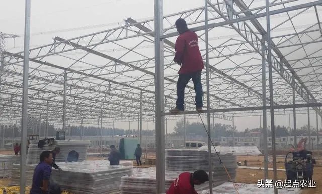 蔬菜大棚和蔬菜温室的区别是什么?