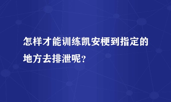 怎样才能训练凯安梗到指定的地方去排泄呢？
