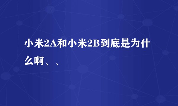 小米2A和小米2B到底是为什么啊、、