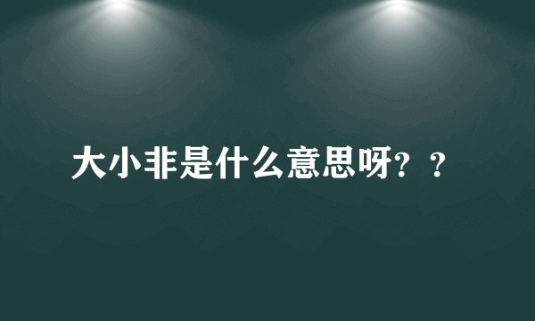 大小非是什么意思呀？？