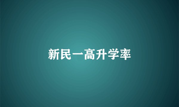 新民一高升学率