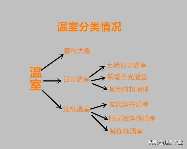 蔬菜大棚和蔬菜温室的区别是什么?