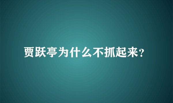 贾跃亭为什么不抓起来？