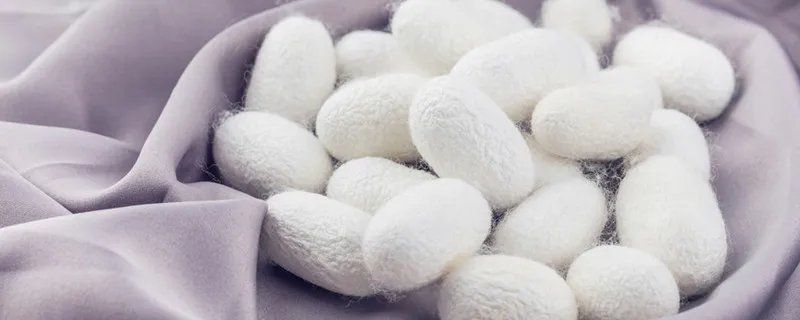 蚕丝的产地 蚕丝的产地在哪里