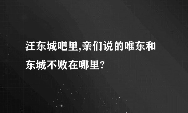 汪东城吧里,亲们说的唯东和东城不败在哪里?