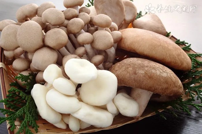 夏季降火汤怎么做