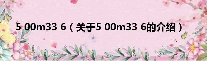 5 00m33 6（关于5 00m33 6的介绍）
