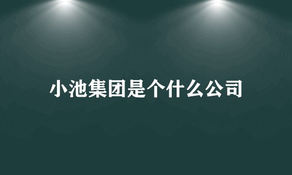 小池集团是个什么公司