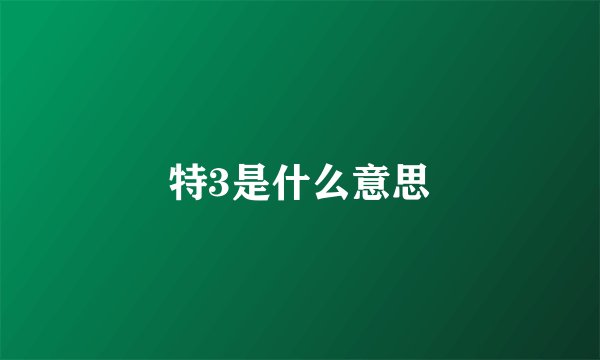 特3是什么意思