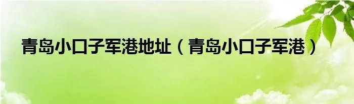 青岛小口子军港地址（青岛小口子军港）