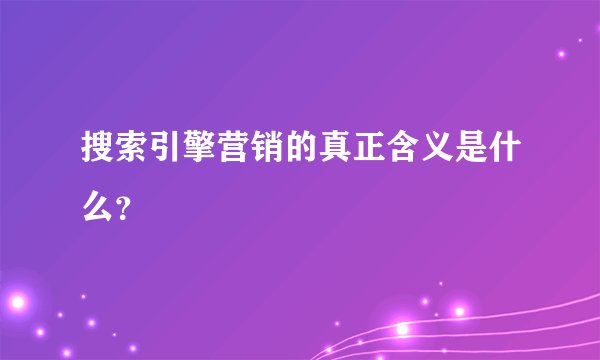 搜索引擎营销的真正含义是什么？