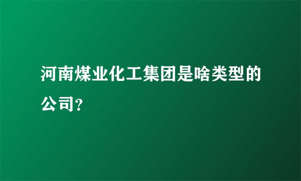 河南煤业化工集团是啥类型的公司?