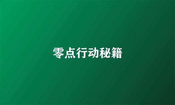 零点行动秘籍