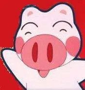 晴天小猪图片
