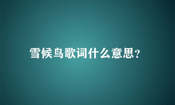雪候鸟歌词什么意思？