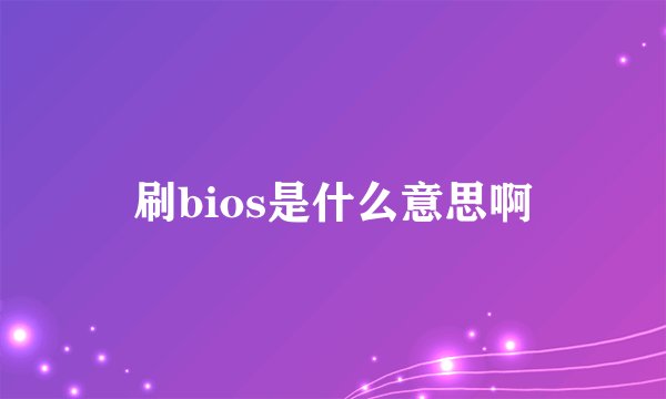 刷bios是什么意思啊