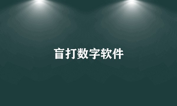 盲打数字软件