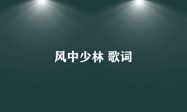 风中少林 歌词