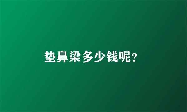 垫鼻梁多少钱呢？