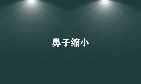 鼻子缩小