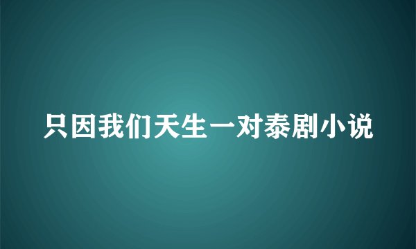 只因我们天生一对泰剧小说