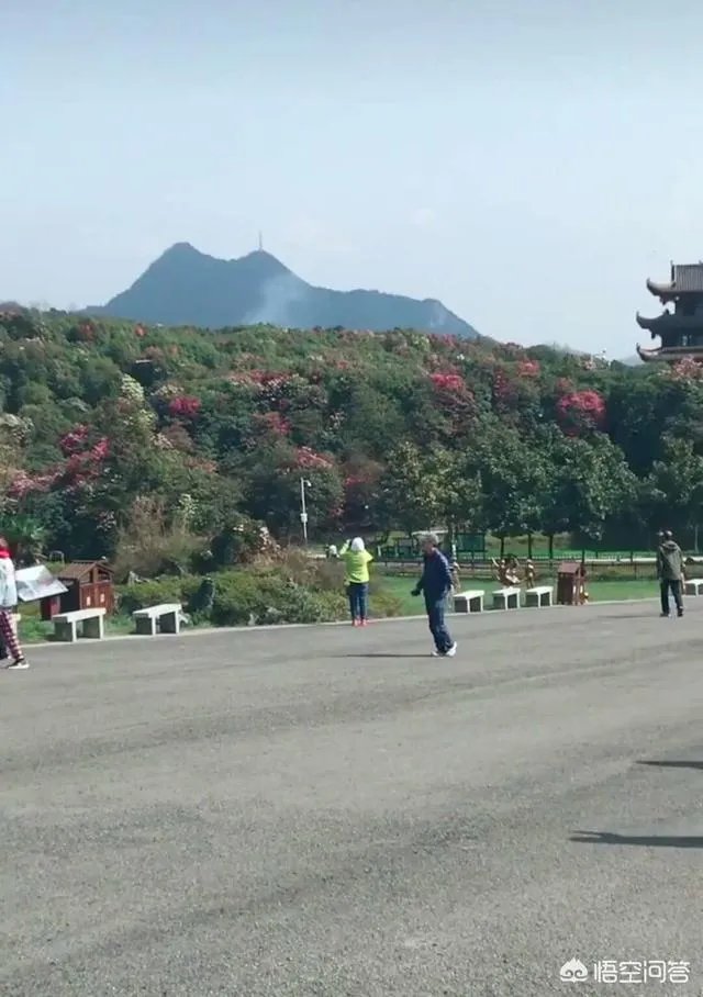 你知道中国百里杜鹃花都在哪里吗?