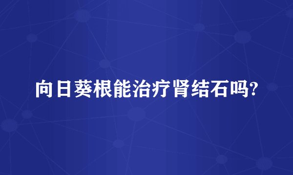 向日葵根能治疗肾结石吗?