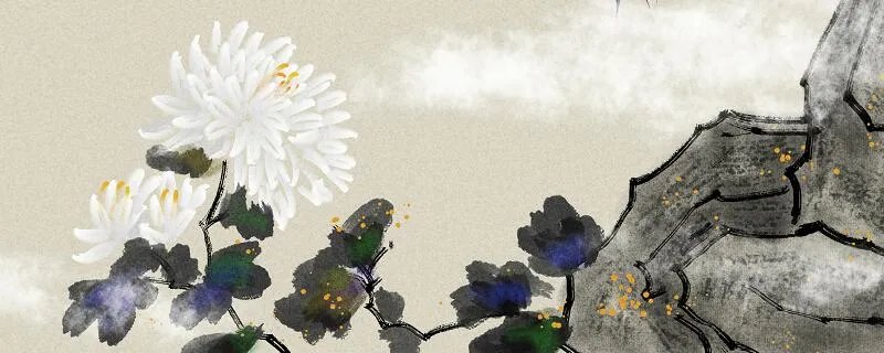 矢车菊的花语是什么