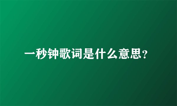 一秒钟歌词是什么意思？