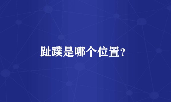 趾蹼是哪个位置？