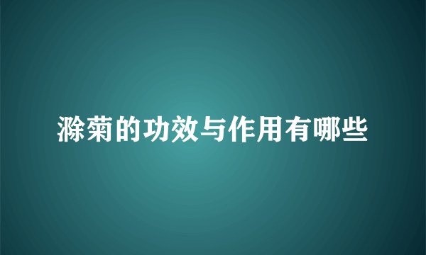 滁菊的功效与作用有哪些