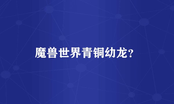 魔兽世界青铜幼龙?