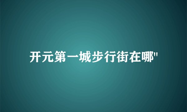 开元第一城步行街在哪