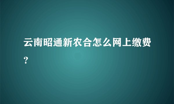 云南昭通新农合怎么网上缴费？