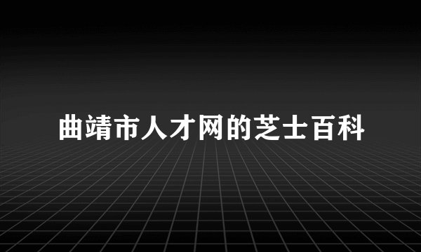 曲靖市人才网的芝士百科