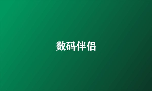 数码伴侣