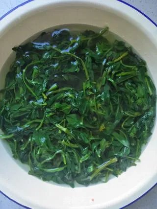 凉拌橄榄菜