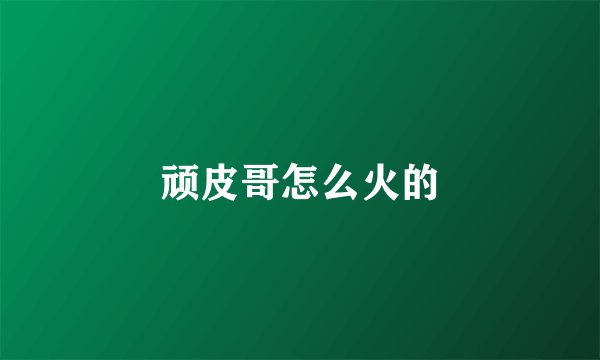 顽皮哥怎么火的