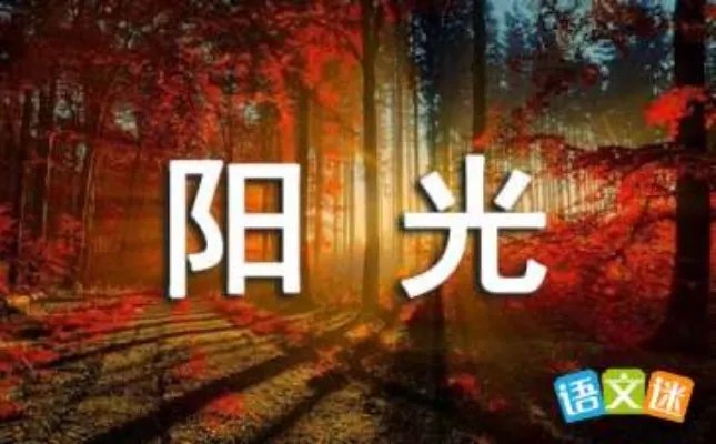 爱如阳光
