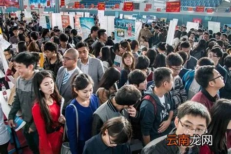 杭州市人才市场电话,杭州人才市场网的客服电话是多少?